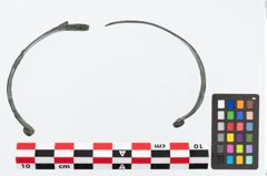 Foto von Bronzebandarmreif (NHMW-PRAE-024008)